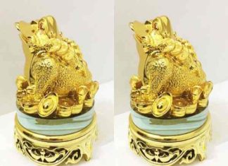 Cách đặt thiềm thừ đúng phong thủy để thu hút tài lộc