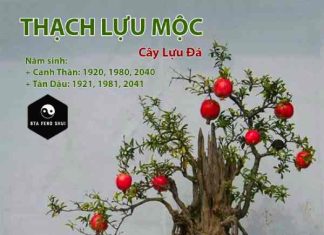 Một số vật phẩm phong thủy mang may mắn về đường con cái