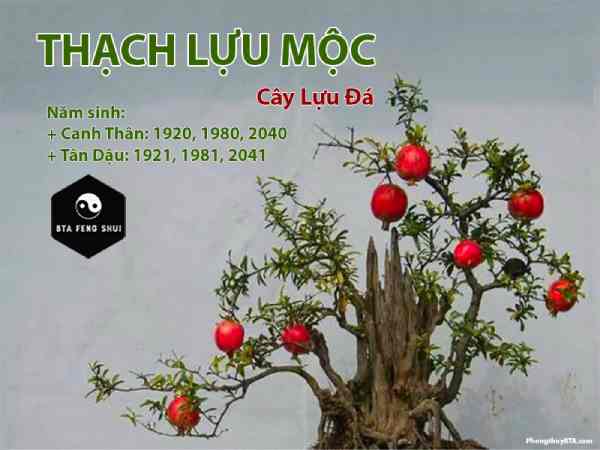 Thạch lựu Thạch lựu là vật phẩm đường con cái tốt