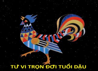 Tử vi tuổi Dậu trọn đời