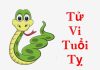 Xem tử vi tuổi Tỵ trọn đời chính xác nhất Xem tử vi tuổi Tỵ trọn đời chính xác nhất