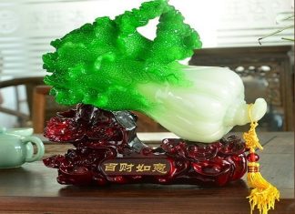Tại sao bắp cải phong thủy là biểu tượng hút tài lộc?
