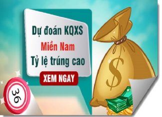 mien-nam-du-doan-min