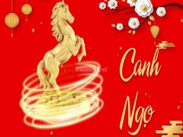 Người tuổi Ngọ mệnh Thổ sinh năm 1930, 1990 Người tuổi Ngọ mệnh Thổ sinh năm 1930, 1990