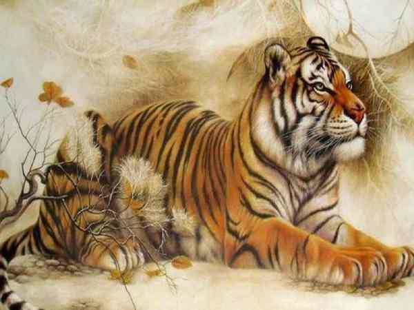 Tổng quan về tuổi Dần Tổng quan về tuổi Dần