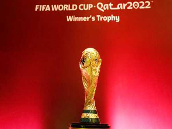 Trực tiếp bóng đá World Cup 2022