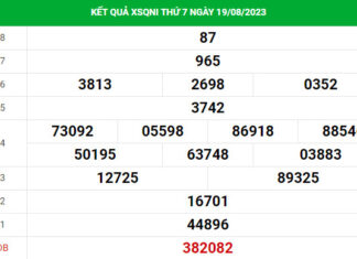Dự đoán XSQNI 26/8/2023 ngày thứ 7 hôm nay