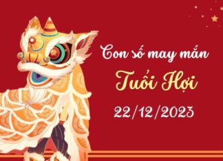 Con số may mắn tuổi Hợi hôm nay ngày 22/12/2023