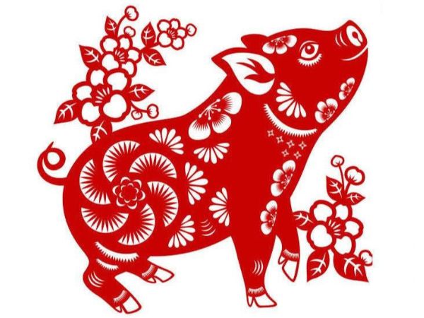 Con số may mắn tuổi Hợi hôm nay ngày 22/12/2023