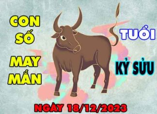 Phân tích con số may mắn tuổi Kỷ Sửu ngày 18/12/2023