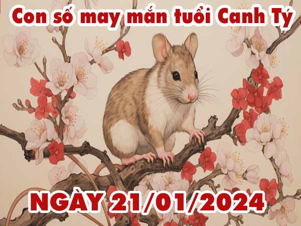 Phân tích con số may mắn tuổi Canh Tý ngày 21/1/2024