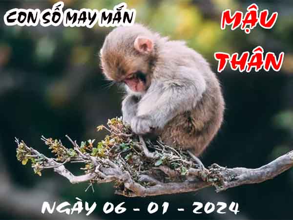 Phân tích con số may mắn tuổi Mậu Thân ngày 6/1/2024