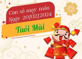 Con số may mắn tuổi Mùi hôm nay ngày 20/2/2024 Con số may mắn tuổi Mùi hôm nay ngày 20/2/2024