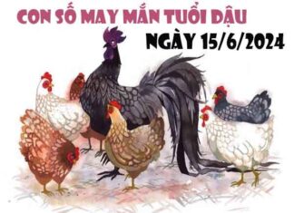 Phân tích con số may mắn tuổi Dậu ngày 15/6/2024 thứ 7 hôm nay