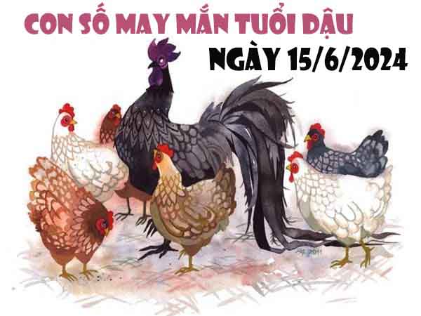 Phân tích con số may mắn tuổi Dậu ngày 15/6/2024 thứ 7 hôm nay