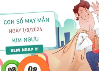 Con số may mắn Kim Ngưu 1/8/2024 phân tích chi tiết