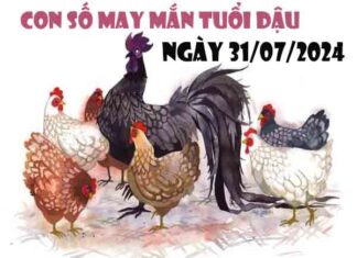 Phân tích con số may mắn tuổi Dậu ngày 31/7/2024 thứ 4 hôm nay