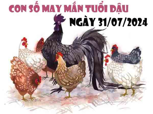 Phân tích con số may mắn tuổi Dậu ngày 31/7/2024 thứ 4 hôm nay