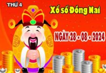 Phân tích XSDN ngày 28/8/2024 - Phân tích KQXS Đồng Nai thứ 4