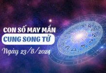 Con số may mắn của cung Song Tử ngày 23/8/2024 sớm phát tài