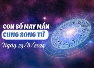 Con số may mắn của cung Song Tử ngày 23/8/2024 sớm phát tài