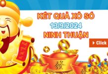 Phân tích XSNT 13/9/2024 hôm nay chốt số may mắn