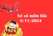 Xổ số miền Bắc 8/11/2024