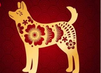 Tử vi tuổi Giáp Tuất năm 2021 nam mạng con số may mắn cho tuổi Tuất ngày 10/4