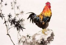 tuổi quý dậu