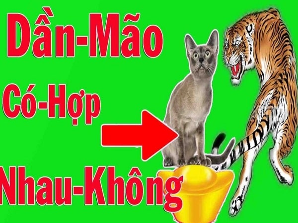 Tuổi Mão và tuổi Dần trong hôn nhân có hợp không?