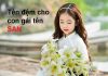 ý nghĩa tên tuệ san