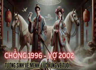 chồng 1996 vợ 2002 có hợp không
