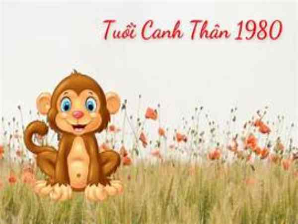 Tổng quan về nam sinh năm 1980 tuổi Canh Thân và việc chọn tuổi vợ