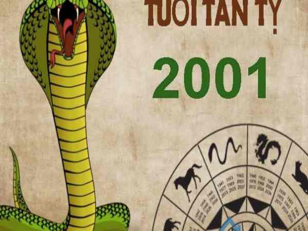 Tổng quan về tuổi nam 2001