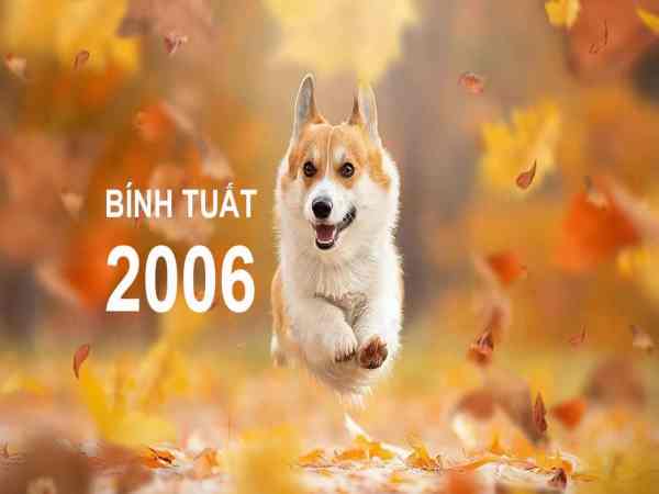 Tổng quan về người sinh năm 2006