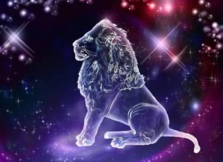 Tìm hiểu nam nữ Sư Tử hợp cung nào để chơi và để yêu? sư tử hợp cung nào