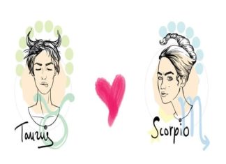 Kim Ngưu có hợp với Bọ Cạp không trong tình bàn tình yêu