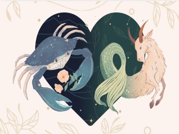 Tình bạn giữa Ma Kết và Cự Giải