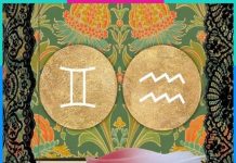 Bảo Bình hợp với cung nào trong tình yêu và trong tình bạn