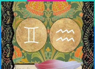 Bảo Bình hợp với cung nào trong tình yêu và trong tình bạn