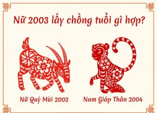 2004 có hợp 2004 không, nên kết hôn sinh con năm nào tốt