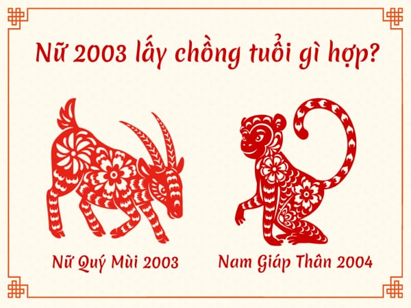 Tổng quan tuổi 2003 và 2004