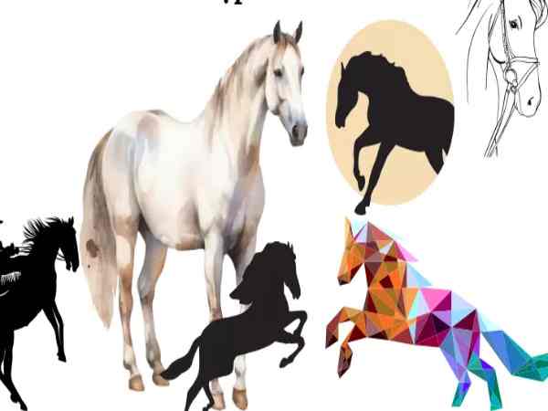 Tổng quan về người sinh năm 2002 (Nhâm Ngọ)