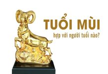 1991 hợp tuổi nào làm ăn kinh doanh và kết duyên chồng vợ