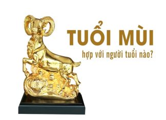 1991 hợp tuổi nào làm ăn kinh doanh và kết duyên chồng vợ