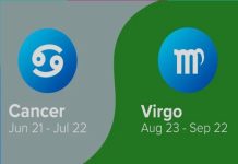 Xử Nữ hợp cung nào nhất trong tình yêu và trong sự nghiệp