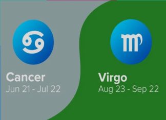 Xử Nữ hợp cung nào nhất trong tình yêu và trong sự nghiệp