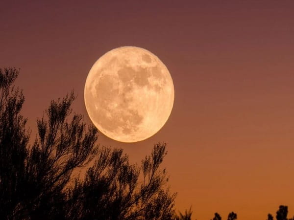 Nằm mơ thấy mặt trăng tốt hay xấu?