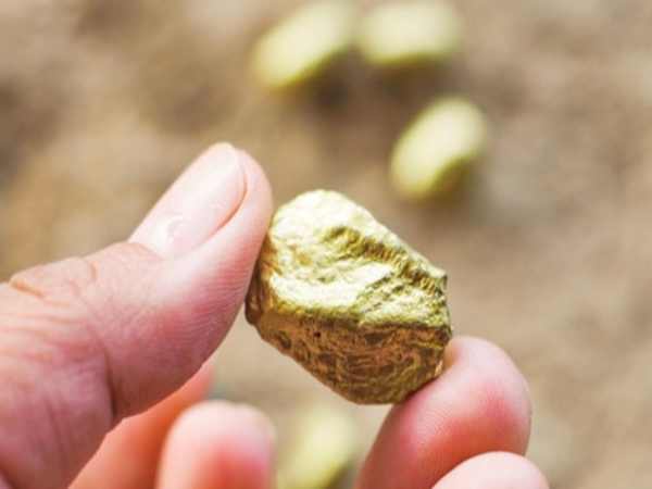 Nhặt được vàng miếng hoặc thỏi vàng