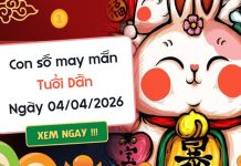 Đón lộc vàng với con số may mắn ngày 04/04/2026 tuổi Dần Đón lộc vàng với con số may mắn ngày 04/04/2026 tuổi Dần